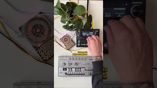 Using a plant as an organic signal path for the H90