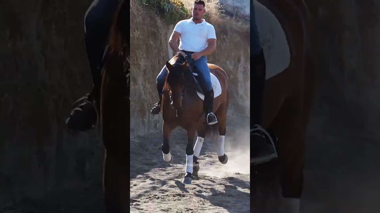 SCHOOLMASTER PRE FOR ALL THE FAMILY