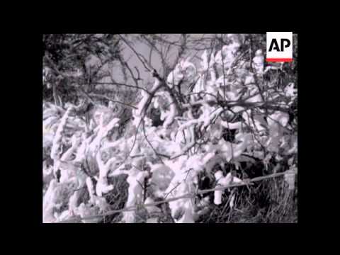 SNOW SCENES - DARTMOOR     - NO SOUND