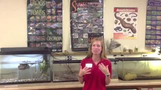 Environmental Education Program-Fortson 4-H Center