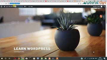 4 WordPress Categories and Posts - Tutorial Rays | By Umar Rahman