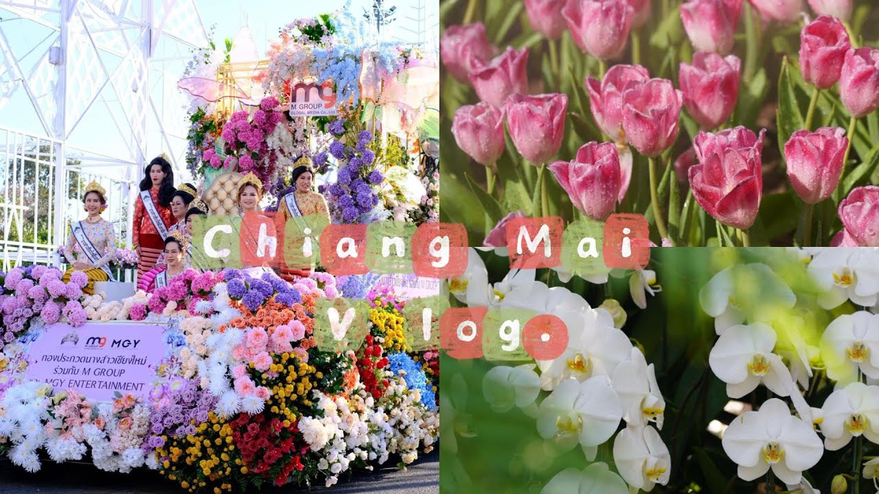 Chiang Mai vlog | 4days in My Life | Exercise routine | Annual Flower Festival