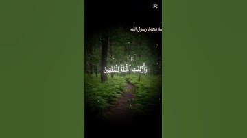 تلاوة خاشعة تهز القلوب | يوم لا ينفع مال ولا بنون | سورة الشعراء #Quran #islam#Muslim #Islamic
