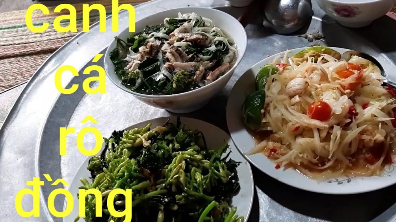 Ẩm thực Biển làm. Canh cá rô đồng.nấu rau mỏ và mì phở. Gỏi đu đủ siêu ...