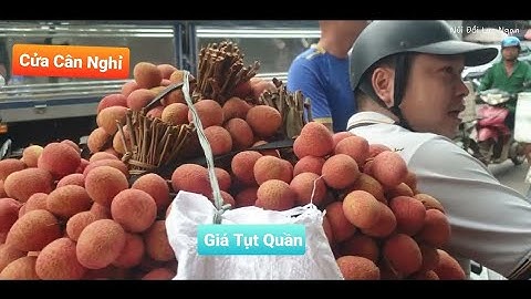 Giá Vải U Hồng Bất Ngờ Sập Sàn Tụt Hơn Tụt Quần l Núi Đồi Lục Ngạn