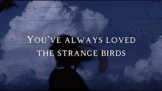 Birdy  - Strange Birds (Lyrics) Resimi