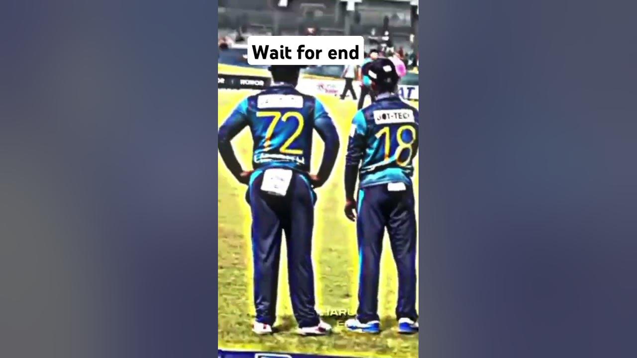 Sadeera Best Fielding cricket foryou shorts trrending YouTube top-5-best-fielder-in-ipl-history-cricketshorts-ipl-trending
