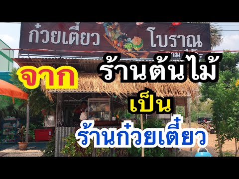 ก๋วยเตี๋ยวเรือ โบราณราคา 15 บาทจากร้านต้นไม้เป็นร้านก๋วยเตี๋ยวสุดแซ่บที่จัตุรัส แม่ก้อยพาทำ