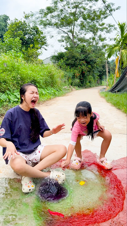 The younger sister pranked her older sister and the funny ending #funny #pets
