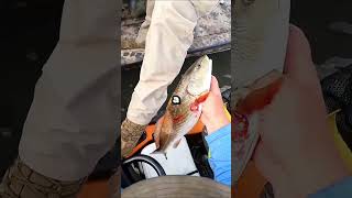 Game warden check fisherman #gamewarden #fishing #drama