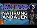 Die ERSTE Nahrung anbauen ♚ Let's Play Space Haven Release 1.0 #3 | deutsch