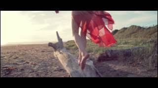 Kathryn Joseph \\ the bird (OFFICIAL)