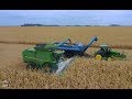 CORN HARVEST 2019 near Nicollet Minnesota