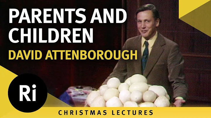 The languages of animals: Parents and children - David Attenborough's 1973 Christmas Lectures 3/5