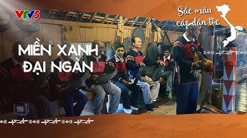 Miền xanh đại ngàn | SẮC MÀU CÁC DÂN TỘC | VTV5