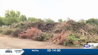 Tree Debris Collection Site Catches Fire Overnight