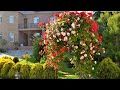 🌺Украшаем свой сад Интересные идеи для благоустройства / Garden Decoration Ideas / A - Video