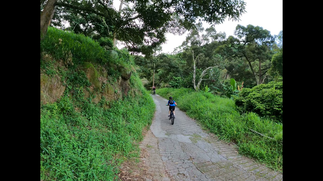 LIV TEMPT E + 1 Ebike