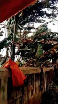 Ini Lah Yang Nama Nya Angin Mobat Mabit Lur