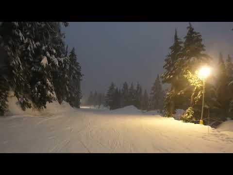 Mount Seymour Resort
