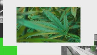 What to know about new THC laws