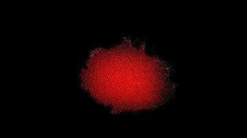 Oesophagogastroduodenoscopy - from ExOxAxDxAxCx  (2025)