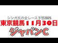 11月30日東京競馬【全レース予想】2025ジャパンカップ