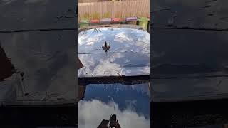 #hydrophobic #detailing #magic #valeting #genesis #detailingworld #detailingexperts #professional