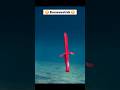 9M730 Burevestnik Missile Laughing || Modern Warships #modernwarships #navalzonex