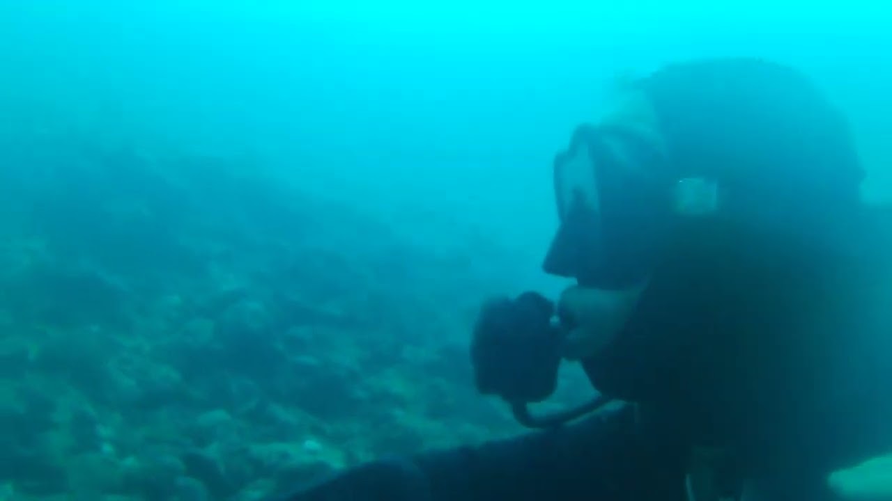 Long dive Bora Bora   experience an 8+ minute video of diving off Bora Bora down to 120 feet