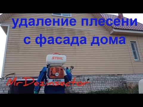 Видео: Почистване на винилов сайдинг: плесен и плесен