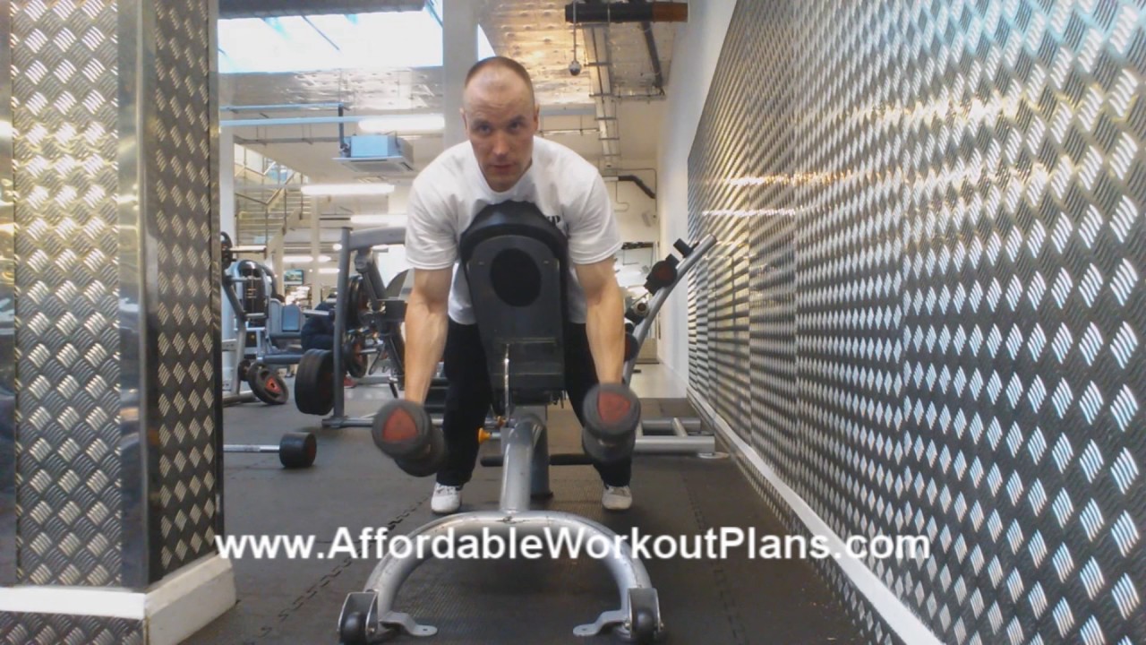 training planner Dumbbell Hammer Curl with Chest Against Incline Bench (exercise for lower arms)