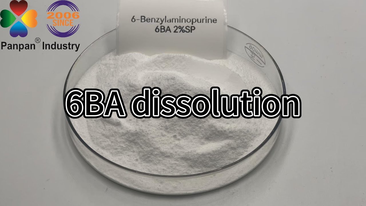 6-benzylaminopurine 6BA 2%SP dissolve in water - YouTube