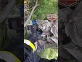 Спекотний страйкбольний вихідний #shorts #strikeshop #headshot #airsoft #страйкбол #зеленка #засідки