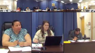 Horicon Common Council 4/28/26