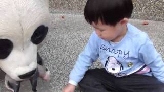 M4V00241.MP4