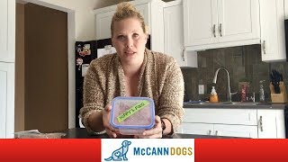 Raw Dog Food Diet- Let's Talk About Our Dogs