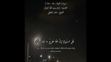 يحذر المنافقون أن تنزل عليهم سورة تنبئهم بما في قلوبهم