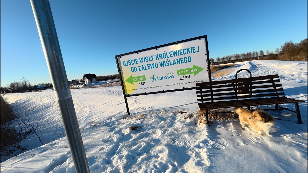 Sztutowo /Wisła Królewiecka ujście- spacerkiem 15-02-2026/test