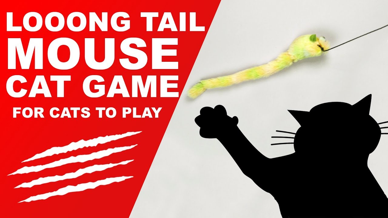 Toy Mouse Video For Cats YouTube