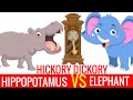 Hickory Dickory Dock Hippo Vs Elephant Song THE BOOMERS Preschool Songs For Circle Time 