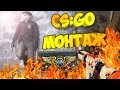 СУПРИМСКИЙ РОД! | CS:GO МОНТАЖ