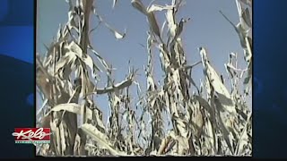 Flashback Friday: Harvest season in 1985