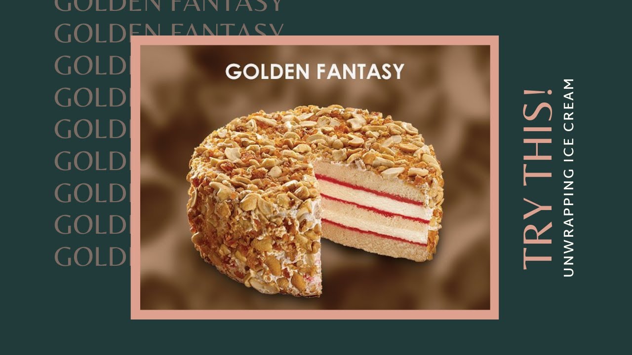 Unwrapping Golden Fantasy Havmor Ice Cream Cake Havmor Taste Review