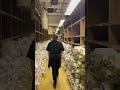 Why are the Parliamentary Archives being packed up?