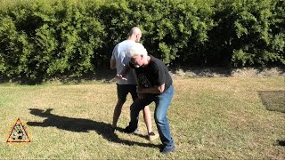 Reasons For Kidney Strikes And Punches For Self Defense In Bagua Kuntao Silat