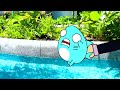 【シンガポールのサメニン】海の生き物を見つけたサメ〜〜〜！