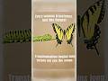 Every woman goes through her own metamorphosis! #menopausepodcast #podcastclips #perimenopause