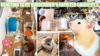 Reacting to my Subscriber's Hamster Enclosures! PT.2 🐹🌿