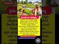 Agriculture #Farming #IndianFarmers #FarmerLife #AgriIndia #FarmersOfIndia #GreenFields #PaddyFields